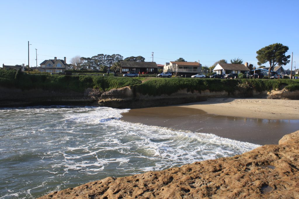 Clean Up Sunny Cove Beach Save Our Ss Shay Hlavaty Save Our Ss Sunny Cove
