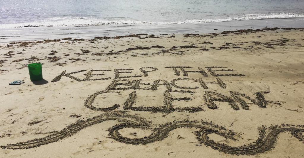 Save Our Shores Beach