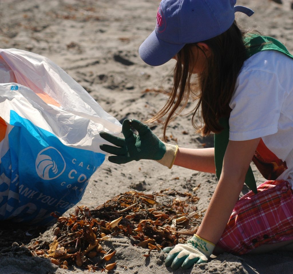 Student Cleaning Up Beach Save Our Shores