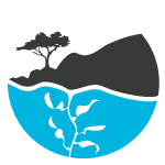 Save Our Shores Logo