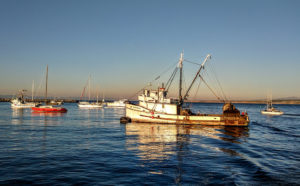 Fishing boats and sailing boats sit in the Monterey Bay at sunset near the Santa Cruz Harbor.