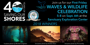 Waves & Wildlife Annual First Friday Celebration @ MBNMS Exploration Center | Santa Cruz | California | United States