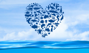 #LOVE30x30 — Taking bold action to protect our ocean @ Online