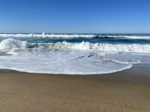 CANCELLED: Beach Cleanup @ Cowell & Main Beach @ Cowell Beach