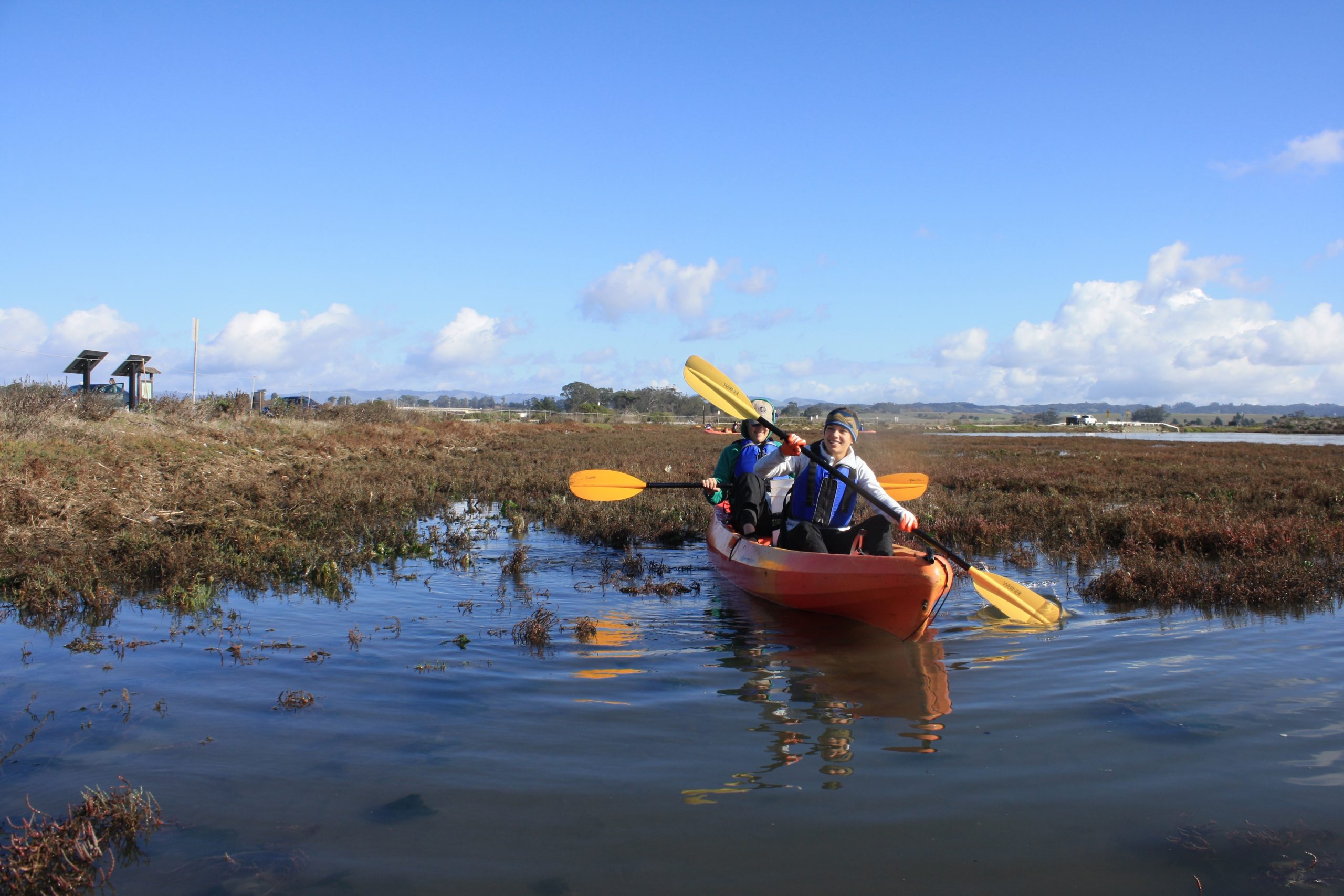 Kayak Cleanup Elkhorn Slough Save Our Shores