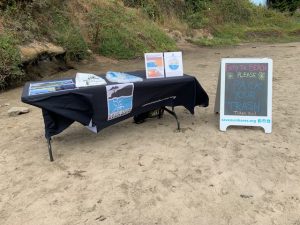 Pollution Prevention Outreach @ Sunny Cove Beach @ Sunny Cove Beach