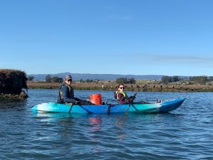 Kayak Cleanup @ Elkhorn Slough @ Kayak Connection Moss Landing | Moss Landing | California | United States