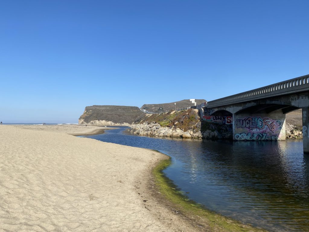 Beach Cleanup @ Scott Creek Beach @ Scott Creek Beach