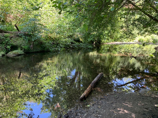 River Cleanup San Lorenzo River Sycamore Grove Save Our Shores