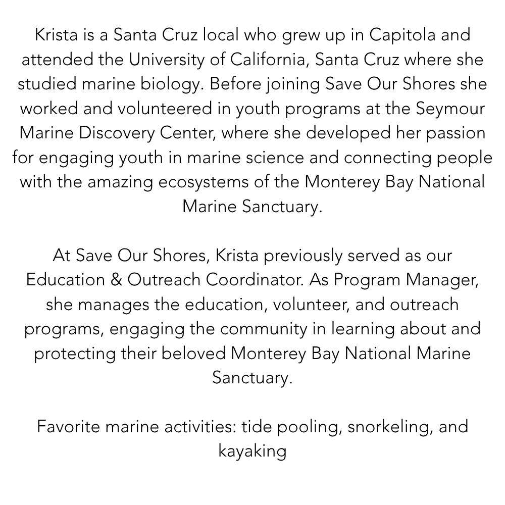 krista words